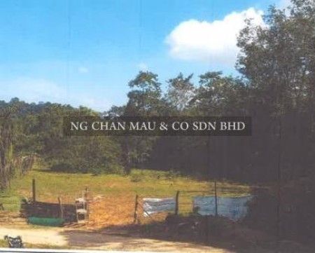 Residential Land For Auction at Kok Lanas