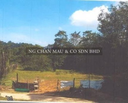 Residential Land For Auction at Kok Lanas