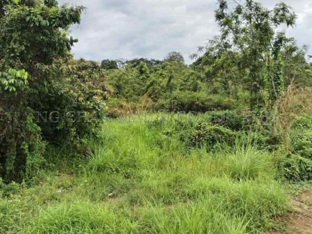 Residential Land For Auction at Machang