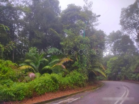 Residential Land For Auction at Section U9