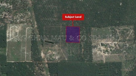 Agriculture Land for Auction