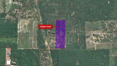 Agriculture Land for Auction