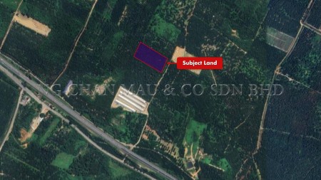 Agriculture Land for Auction