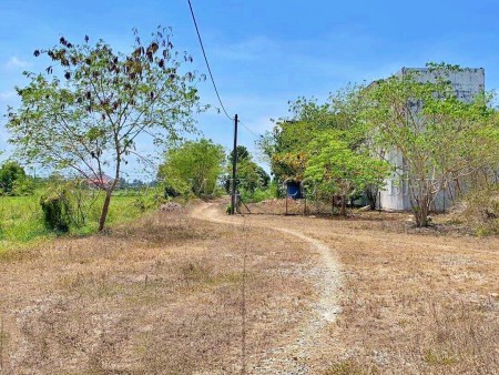 Residential Land for Auction