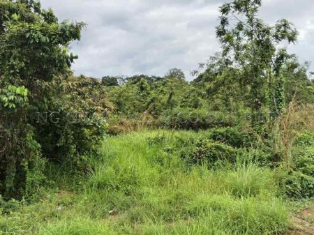 Residential Land For Auction at Machang