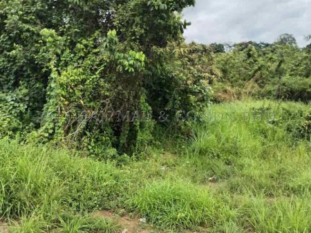 Residential Land For Auction at Machang