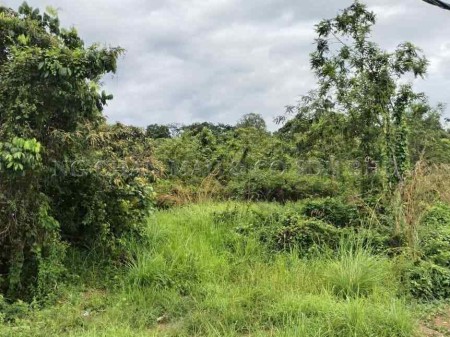 Residential Land For Auction at Machang