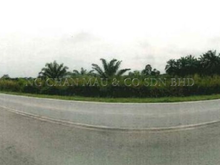 Agriculture Land For Auction at Kluang