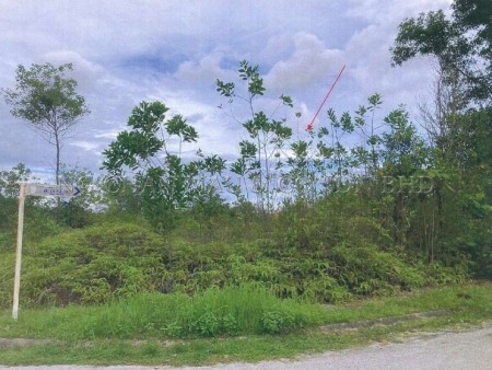 Residential Land For Auction at Bandar Bukit Mahkota