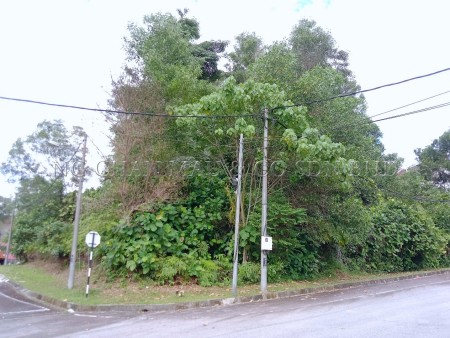 Residential Land For Auction at Taman Lestari Perdana