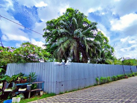 Commercial Land For Auction at Kota Bharu