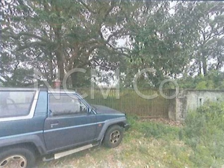Agriculture Land for Auction
