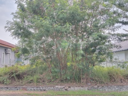 Residential Land For Auction at Taman Tuanku Jaafar