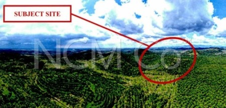 Agriculture Land For Auction at Baling