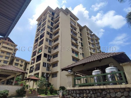 Condo for Auction