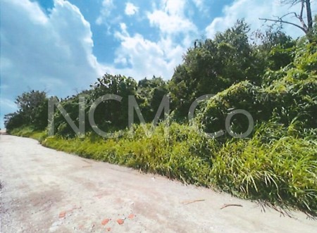 Agriculture Land For Auction at Kempas Baru