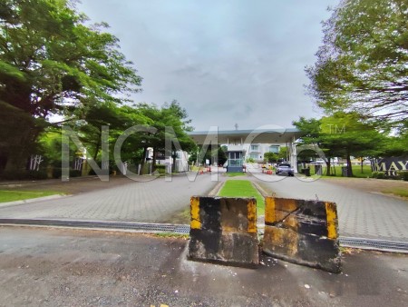 Terrace House for Auction
