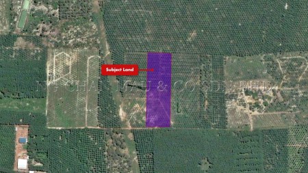 Industrial Land for Auction