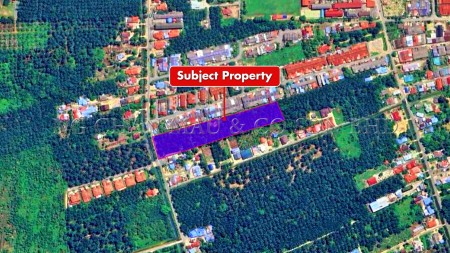 Agriculture Land for Auction
