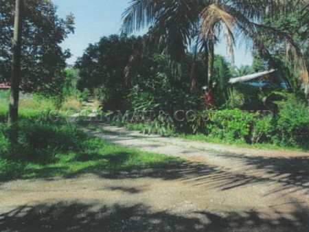Agriculture Land For Auction at Simpang Renggam