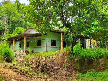 Bungalow House For Auction at Setiu