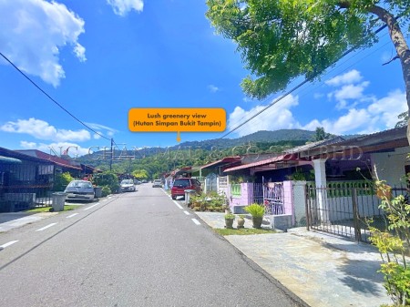 Terrace House for Auction