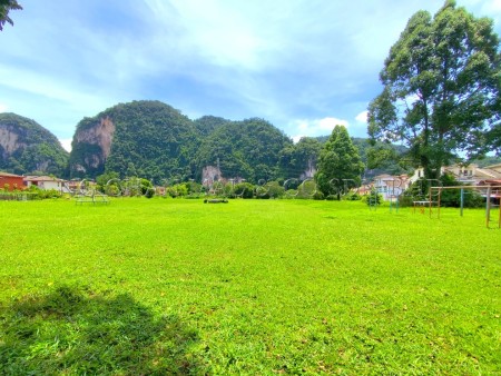 Terrace House for Auction