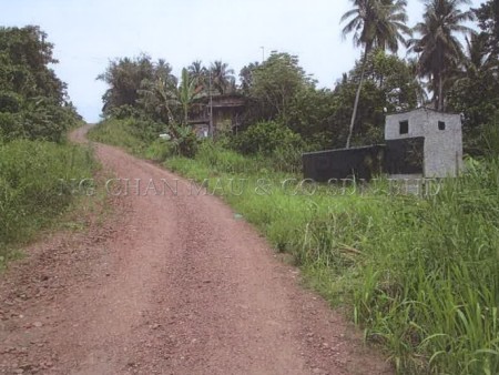 Agriculture Land For Auction at Pitas