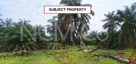 Residential Land For Auction at Simpang