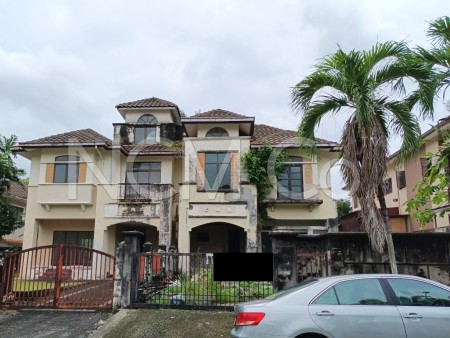 Semi D For Auction at Anggerik Oncidium