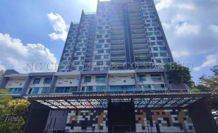 Penthouse For Auction at The Treez