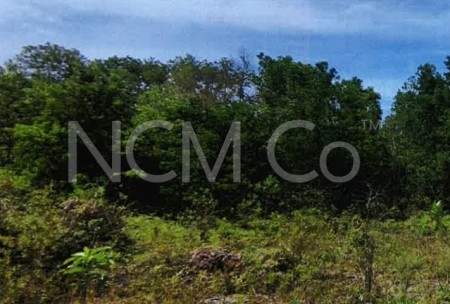 Residential Land For Auction at Kemaman