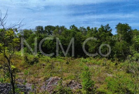 Residential Land For Auction at Kemaman