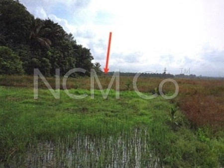 Residential Land For Auction at Pasir Puteh