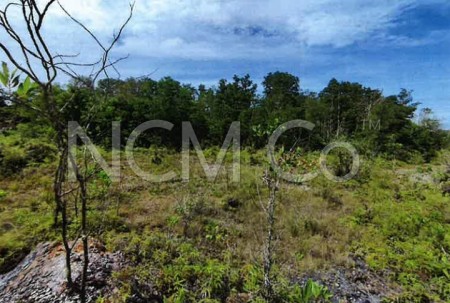Residential Land For Auction at Teluk Kalong