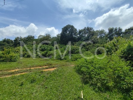 Industrial Land For Auction at Kuala Ketil