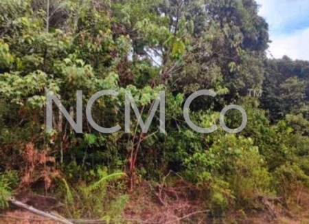 Residential Land For Auction at Gambang