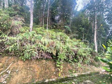 Agriculture Land For Auction at Janda Baik