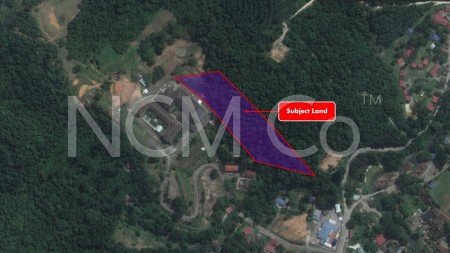 Agriculture Land for Auction