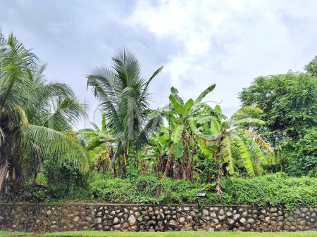 Residential Land For Auction at Kota Seriemas