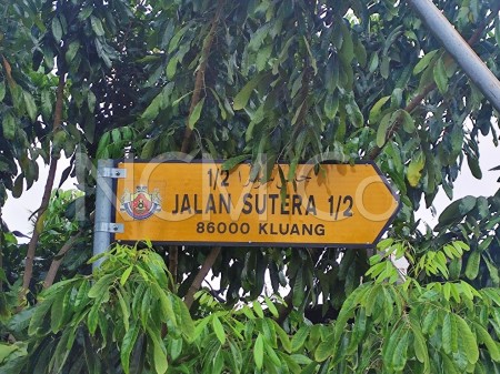 Terrace House for Auction