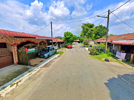 Terrace House for Auction