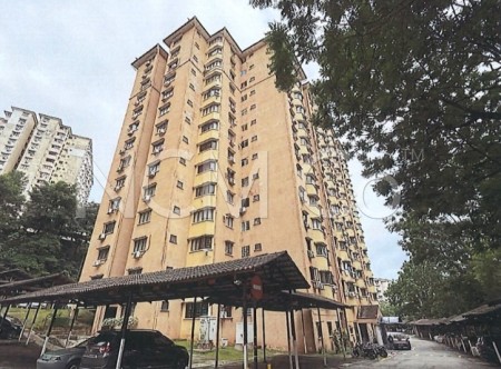 Apartment For Auction at Aman Puri Apartment