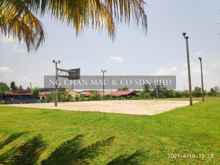 Terrace House for Auction