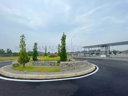 Terrace House for Auction