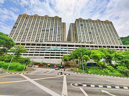 Flat For Auction at Green Garden