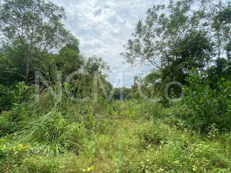 Residential Land For Auction at Machang