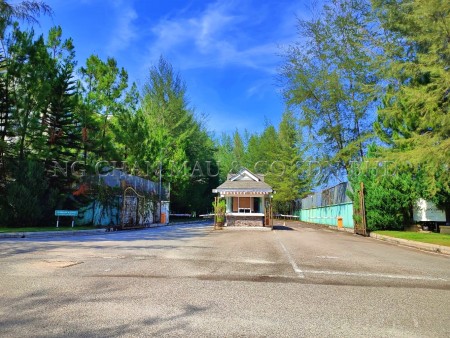 Terrace House for Auction