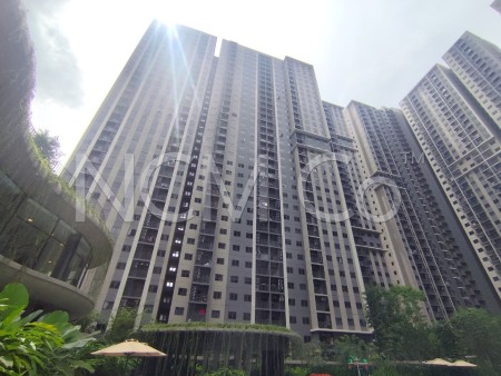 SOHO For Auction at One Equine