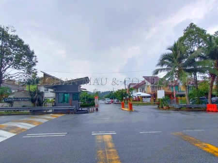 Terrace House for Auction